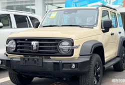 国产精品300,匠心独运，品质卓越的匠心之作